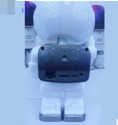 Home Security Robot