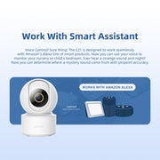 Wifi IP Smart
