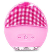 facial cleansing brush