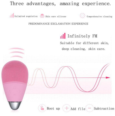 facial cleansing brush